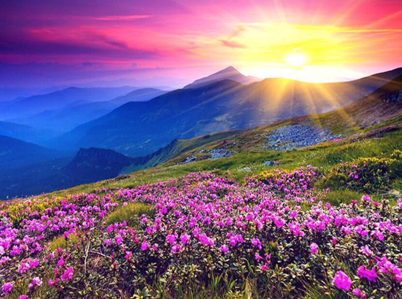 Colourful Sunrise in Mountains