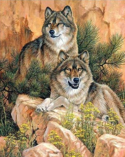 Wolves on The Rock