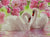 Swans with Pink Flowers