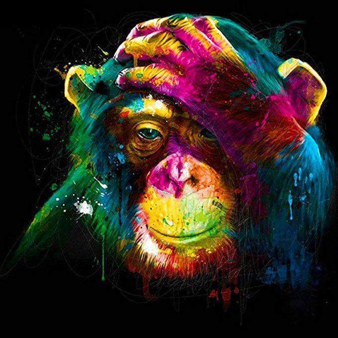 Colourful Chimp