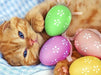 A cute kitten with Easter eggs
