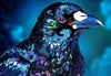 Artful Raven