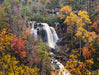 Autumn Waterfall