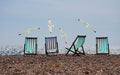Beach Chairs and Gulls
