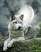 Beautiful Wolf in Moonlight
