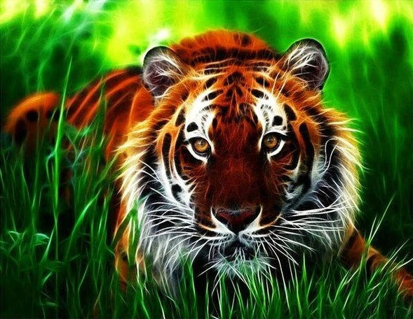 Bengal Tiger in the Grass