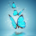 Blue Water Butterflies