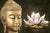 Buddha and White Lotus