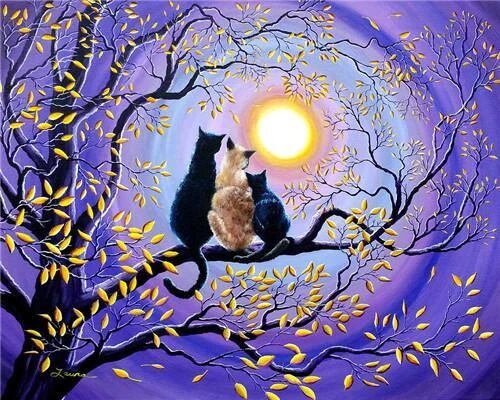 Cat Lovers in The Moonlight