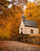 Church in The Forest