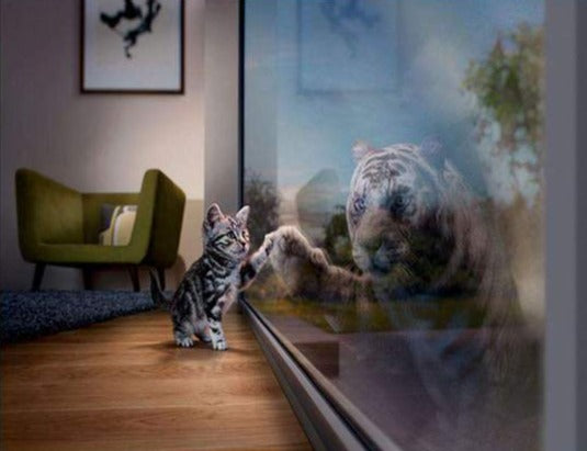 Little Tiger meets Big Tiger