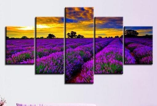 Purple Meadow Sunrise