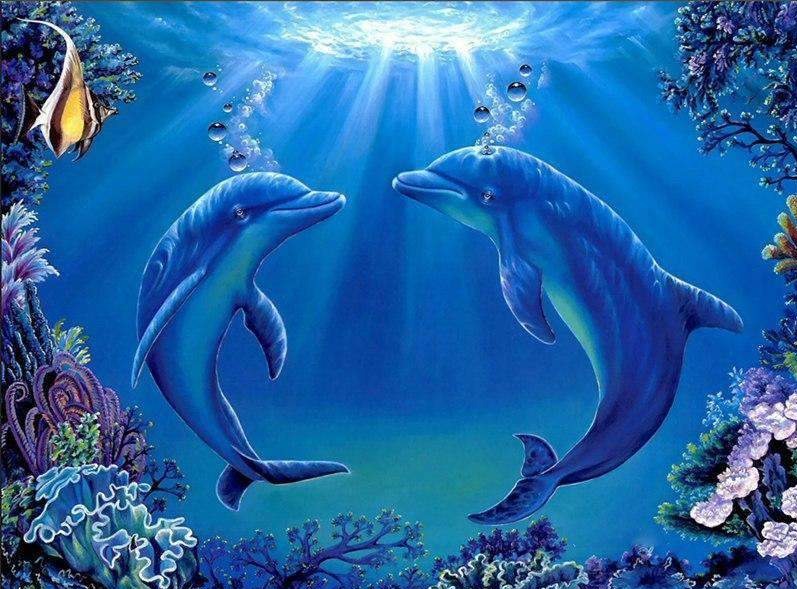Dolphins Together Forever
