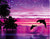 Dolphins Purple Sunset