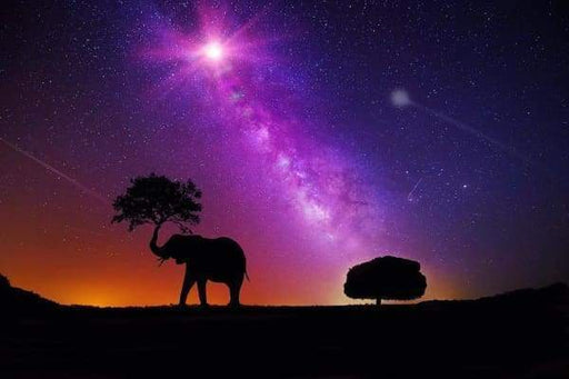 Elephant and Space