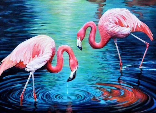 Flamingos in The Water