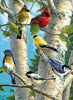 Load image into Gallery viewer, Coloured Birds in the Tree