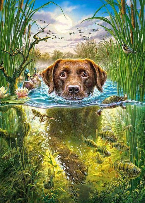 Happy Swimming Dog