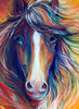 Horse Portrait Colorful