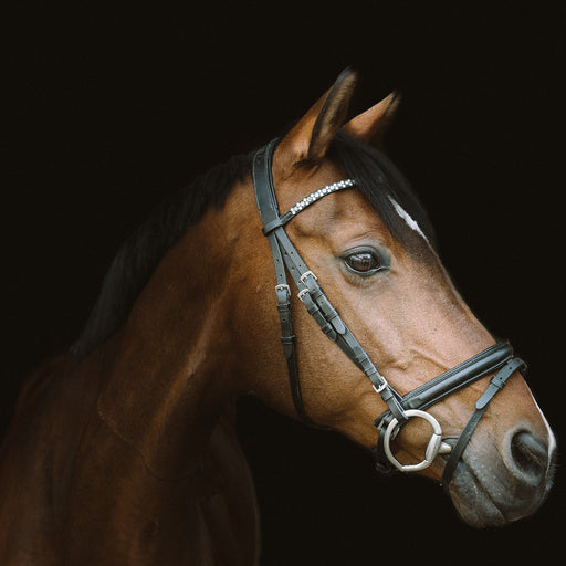Horses — Happy Painting USA