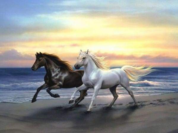Horses — Happy Painting USA