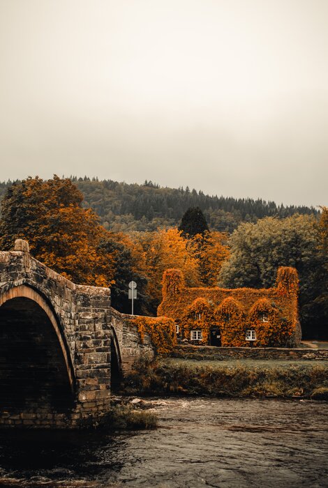 House by The River