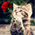 Kitten with Red Rose