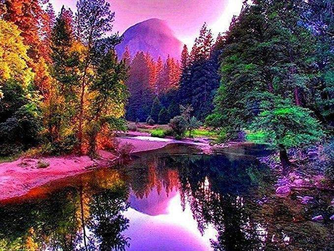 Colourful Forest with Lake