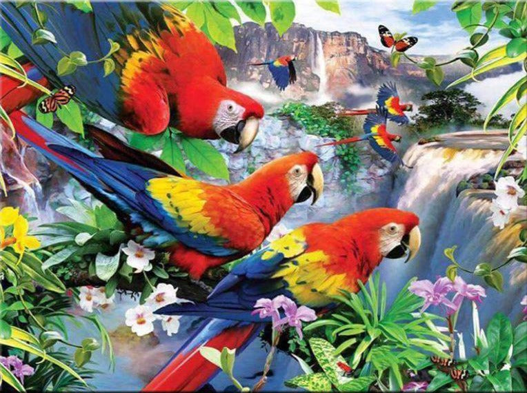 Parrots Waterfall