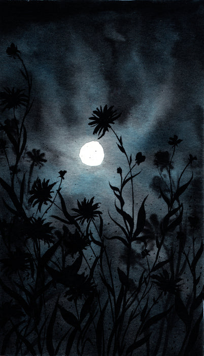 Flowers in Moonlight