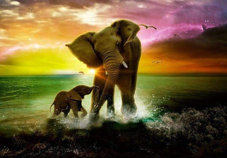 Elephants Playing in the Water