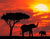 Elephants with Red Sunset