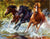 Horses in the Water