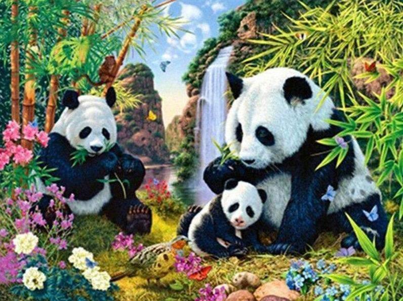 Panda Family Waterfall