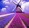 Load image into Gallery viewer, Purple Landscape with Mill