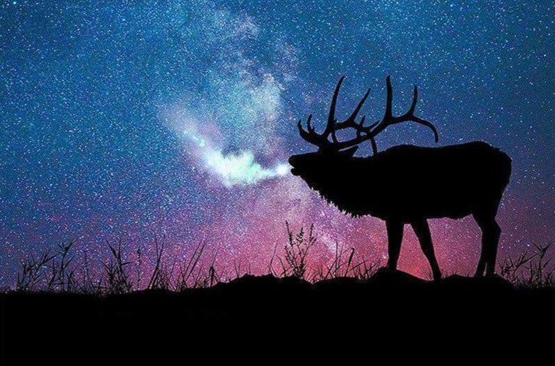 Reindeer Universe