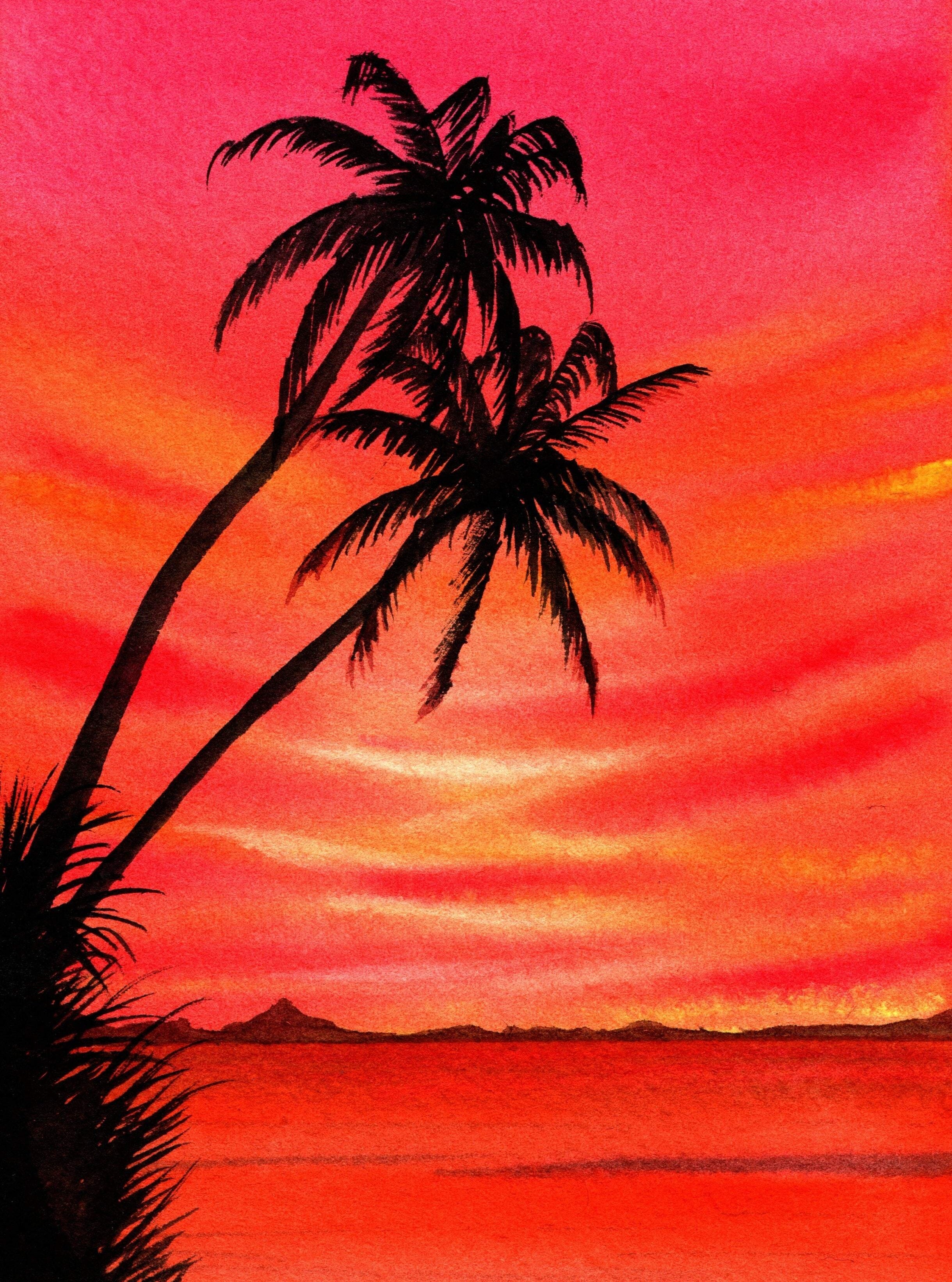 Sunset Behind Palm Trees
