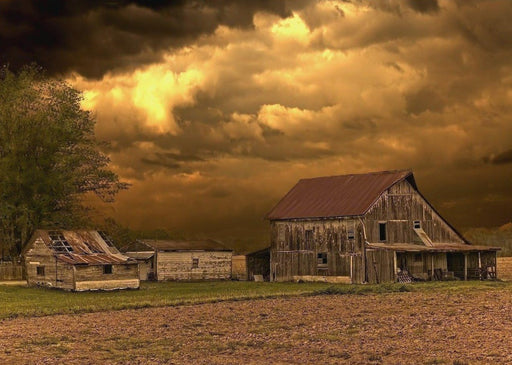 The Abandoned Farmhouse