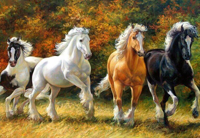 The Beautiful Colored Horses