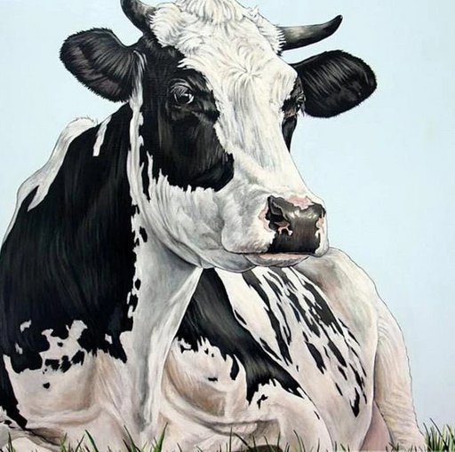The Frisian Dutch Cow
