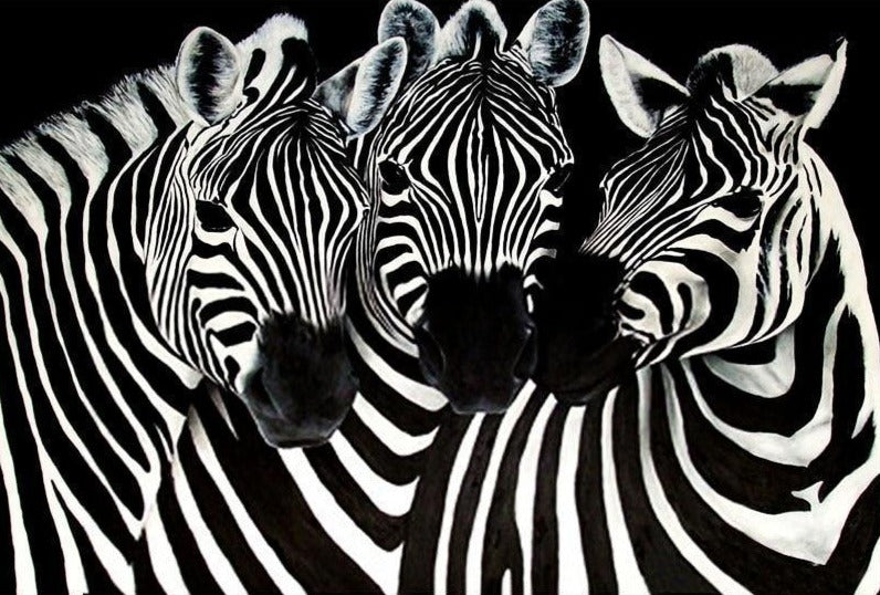 The Three Zebras