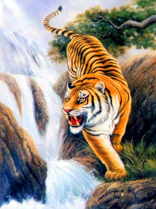 Tiger on the Hunt