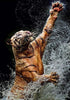 Tiger plays with Water
