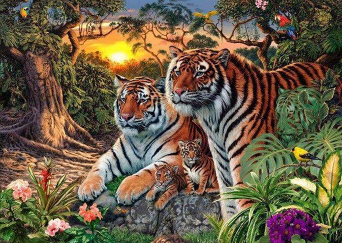 Tigers Sunset