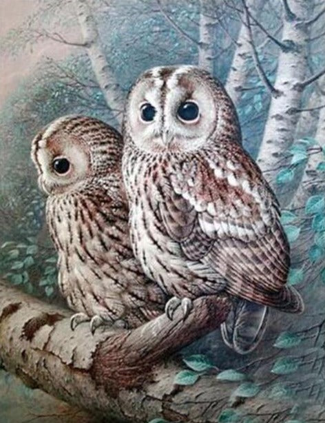 Two Owls on One Branch