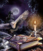 Owl Fairytale