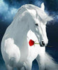 White Horse with Red Rose