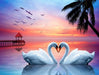 White Love Swans