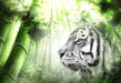 White Tiger in the Green Forest