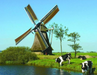 Windmill and Cows on the Water